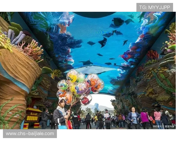 黄金龙娱乐场真人游戏全方位揭秘，畅享多样化的真人娱乐项目，开启无限精彩的娱乐之旅